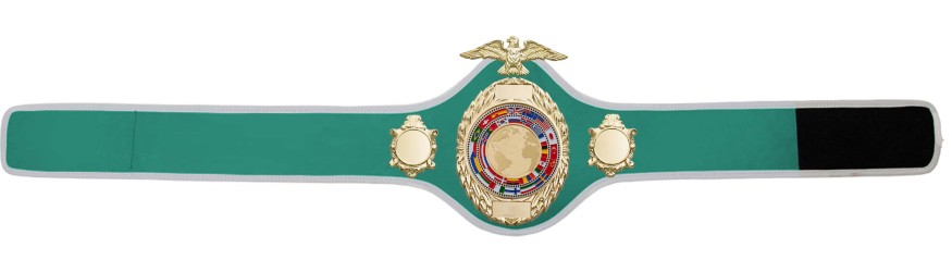 CHAMPIONSHIP BELT PRO288/G/FLAGG - AVAILABLE IN 10 COLOURS CHAMPIONSHIP BELT PRO288/G/FLAGG - AVAILABLE IN 10 COLOURS